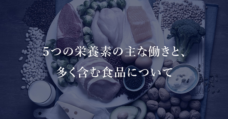５つの栄養素の主な働きと、多く含む食品について
